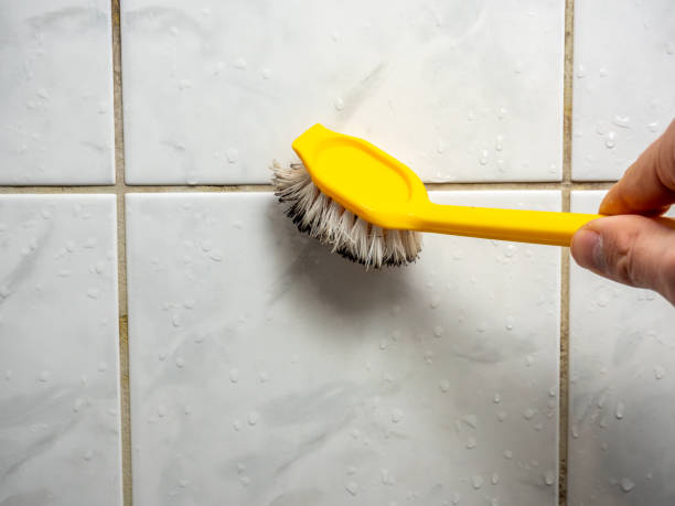 Best Post-Remediation Services in Bardmoor, FL