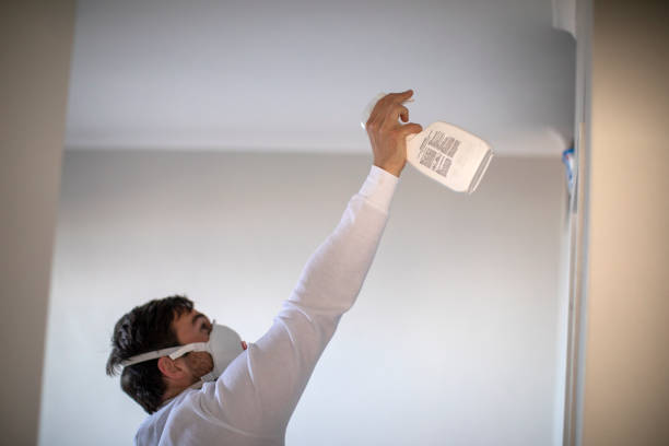 Best Post-Flood Mold Remediation in Bardmoor, FL