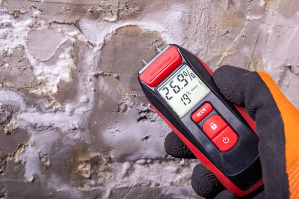 Best DIY Mold Remediation Support Services in Bardmoor, FL