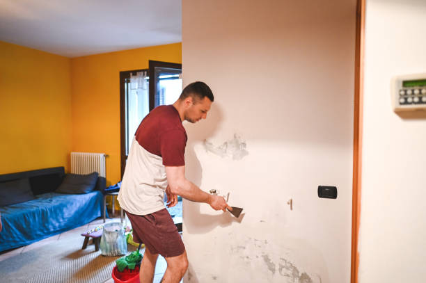 Best Health and Safety Mold Remediation in Bardmoor, FL
